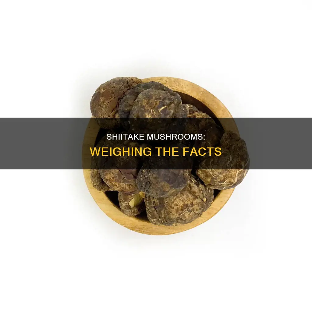 how many does a shiitake mushroom weigh