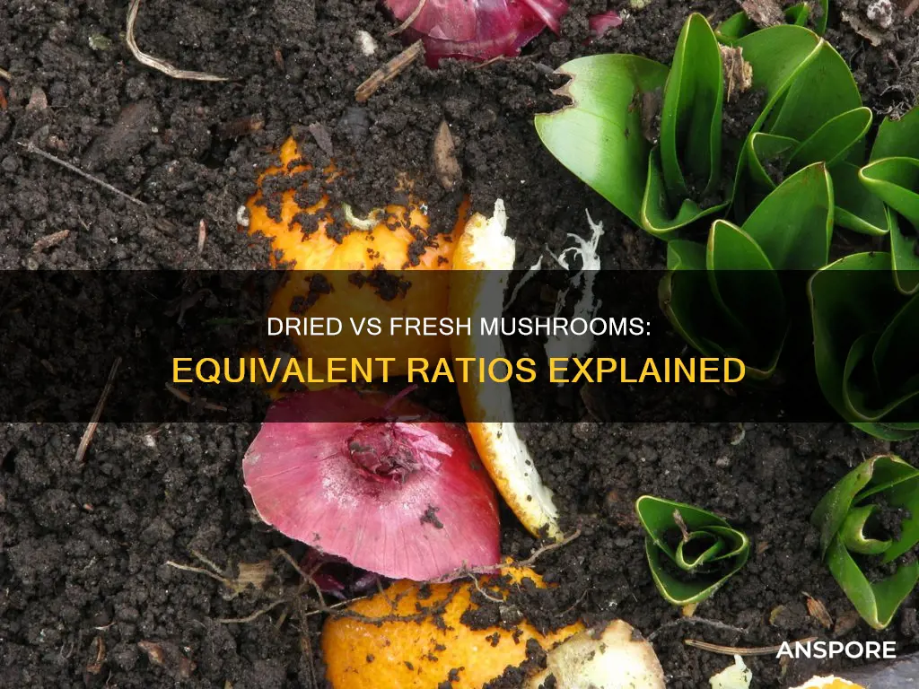 how many dried mushrooms equal fresh