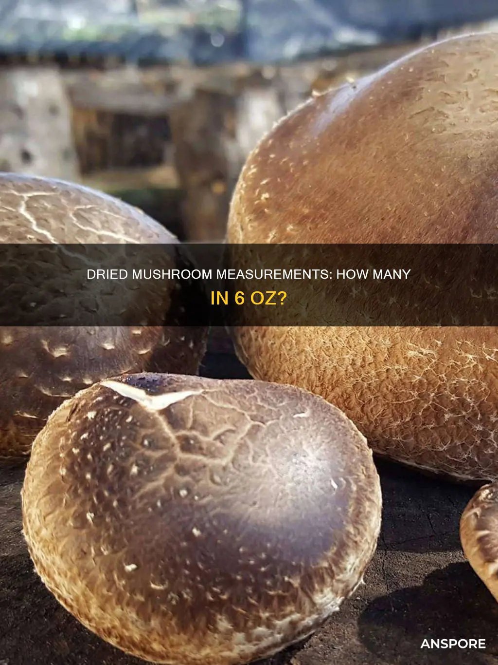 how many dried mushrooms in 6 oz