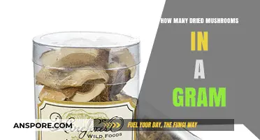 Weighing Dried Mushrooms: How Many Make a Gram?