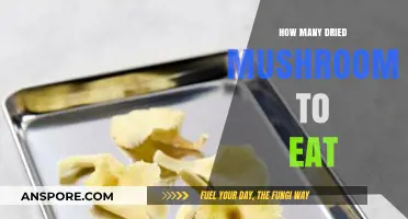 Dried Mushrooms Serving Guide: How Much to Safely Consume