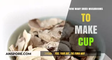 Dried Mushrooms to Cup Ratio: A Simple Measurement Guide