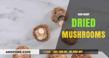 Dried Mushrooms: How Much is Enough?