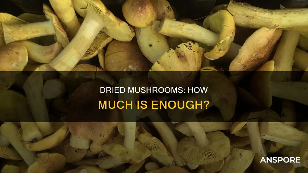 how many dried mushrooms