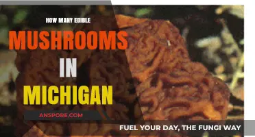 Exploring Michigan's Edible Mushroom Varieties: A Forager's Guide