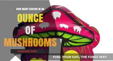 Weighing Up Your Magic Mushroom Eighths and Ounces