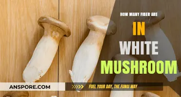 Mushroom Nutrition: Fiber Content of White Mushrooms