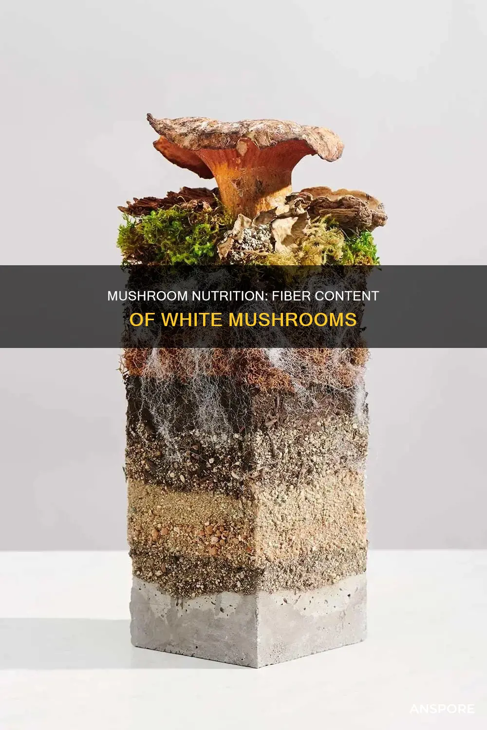 how many fiber are in white mushrooms