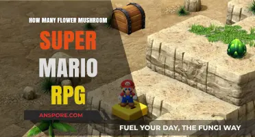 Finding Flowers and Mushrooms in Super Mario RPG