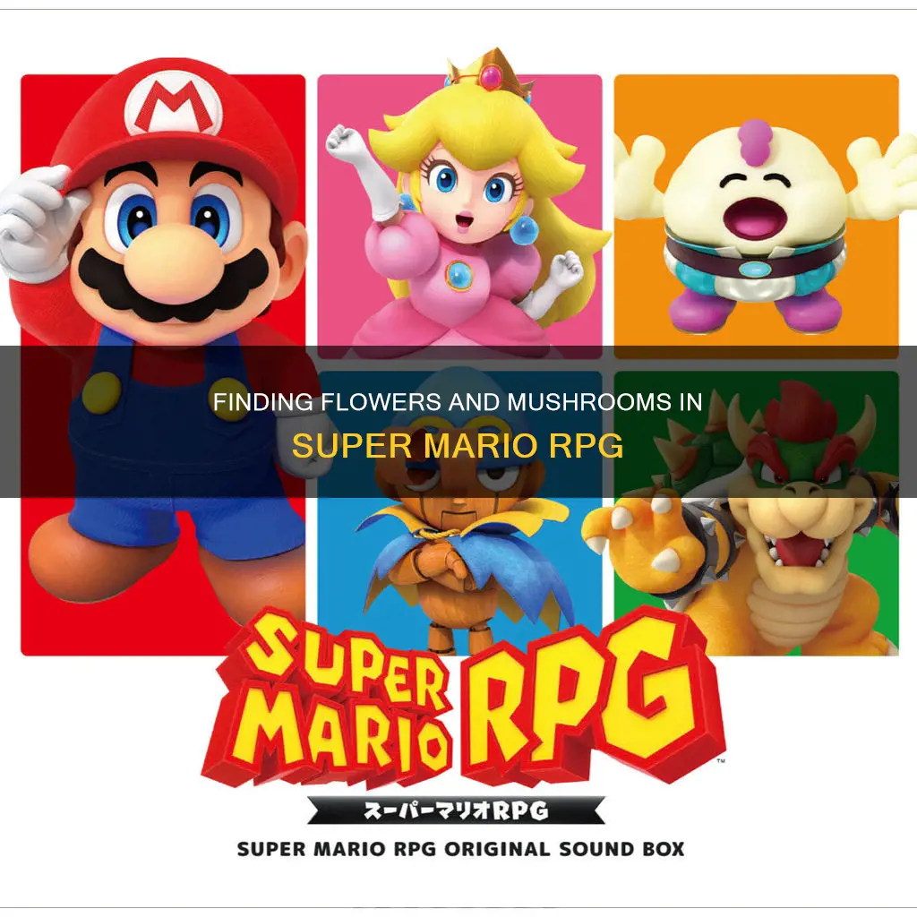 how many flower mushroom super mario rpg