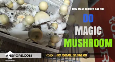 Exploring the Effects of Magic Mushrooms: Flush Frequency and Potency