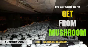 Exploring the Surprising Number of Flushes from Mushroom Cultivation