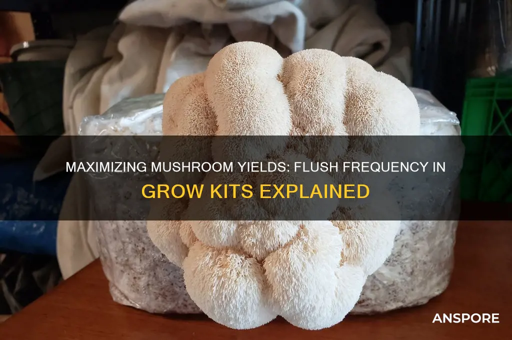 how many flushes from a mushroom grow kit