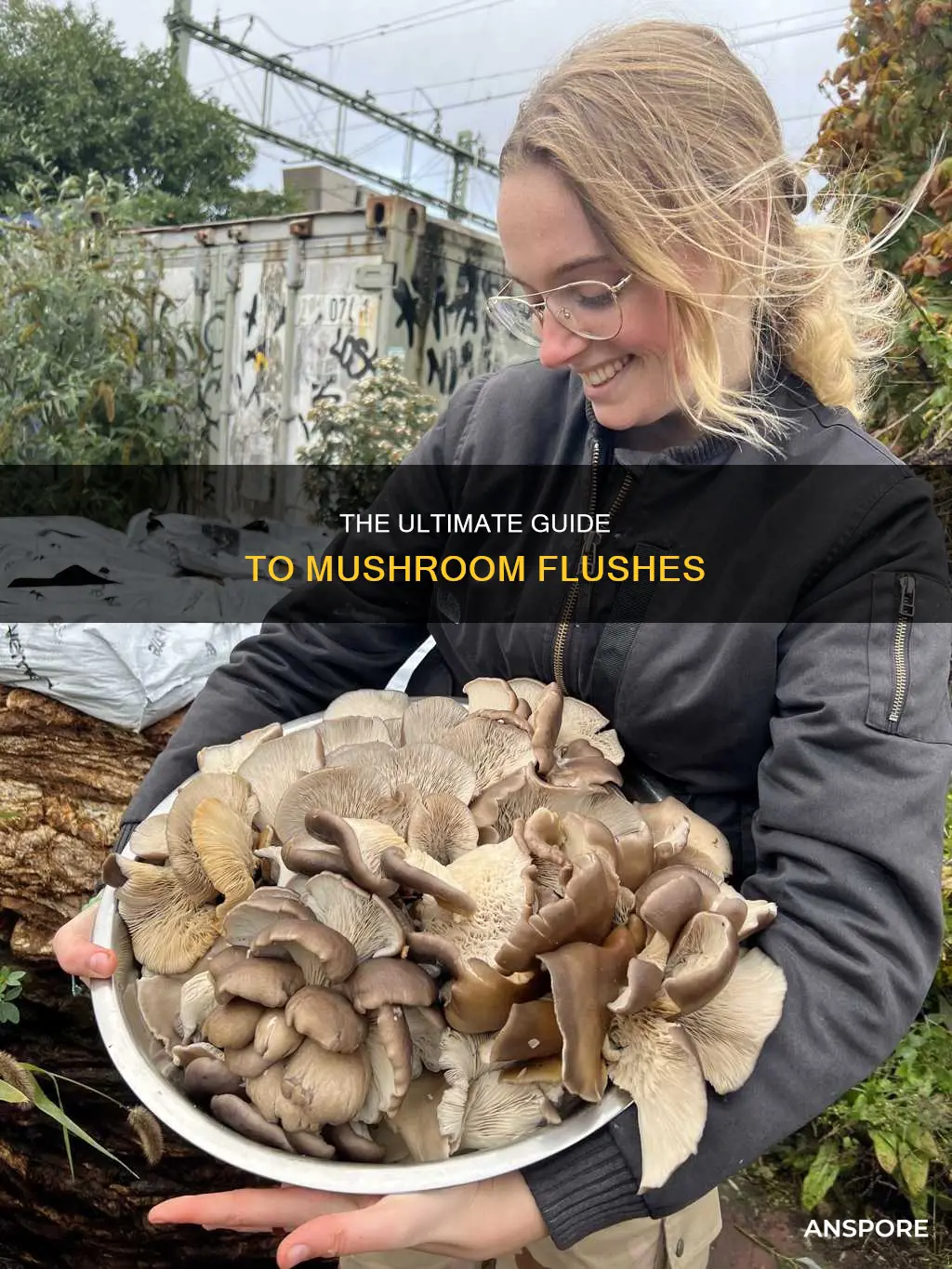 how many flushes mushrooms