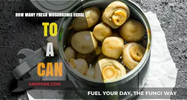 Fresh Mushrooms to Canned: Understanding the Equivalent Measurement