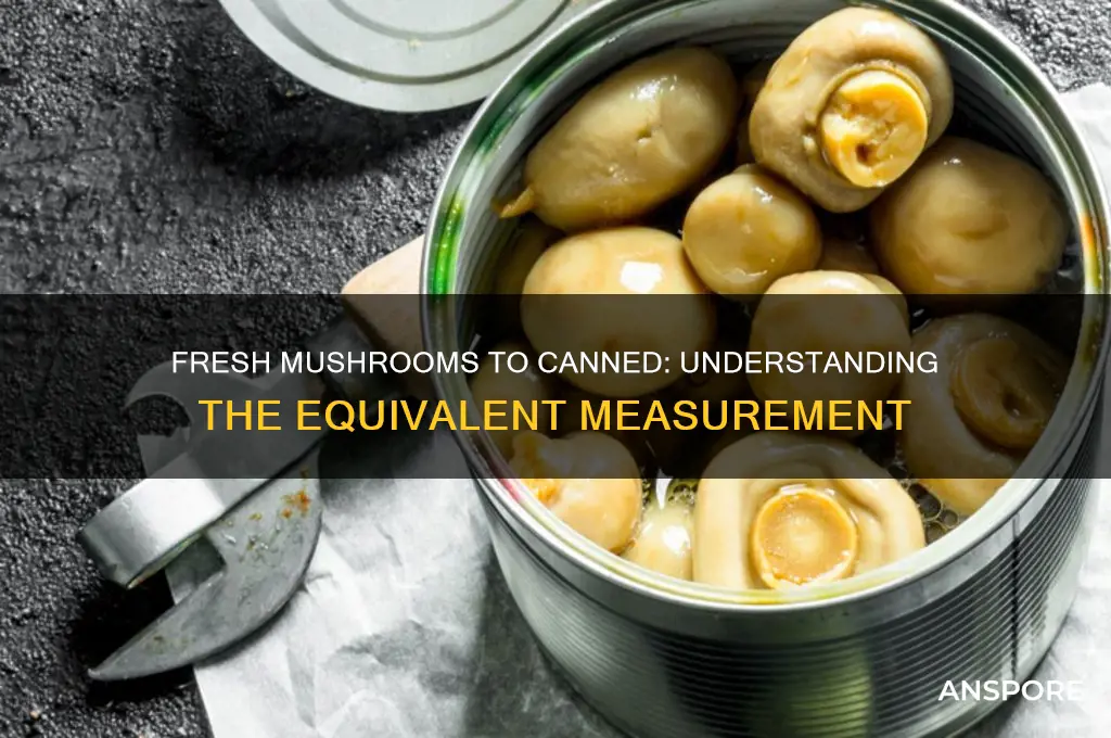 how many fresh mushrooms equal to a can