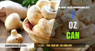Fresh Mushrooms in a 7 oz Can: Quantity Explained