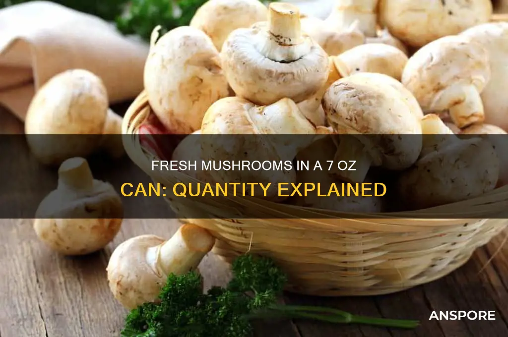 how many fresh mushrooms in a 7 oz can