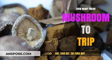 Tripping on Mushrooms: How Many Fresh Shrooms to Take?