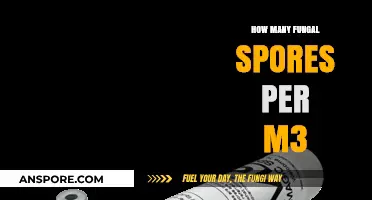 Understanding Fungal Spore Concentrations: Measuring Spores per Cubic Meter