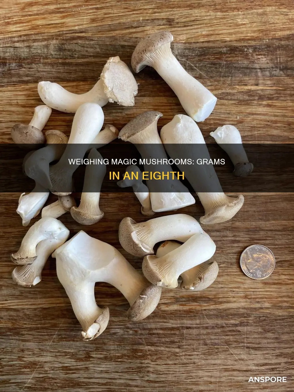 how many g in an eighth of mushrooms