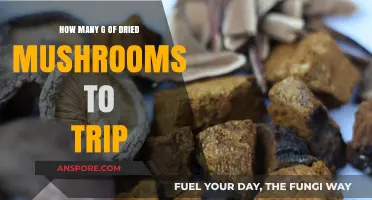 Tripping on Dried Mushrooms: How Many Grams?