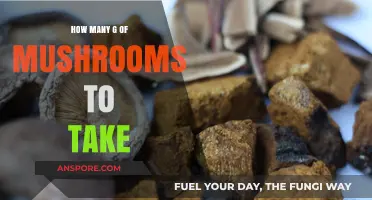 Mushroom Trip: How Many Grams to Take?
