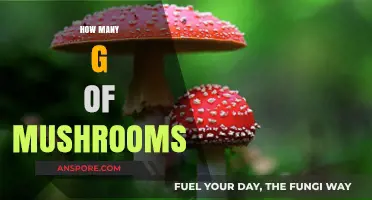 Mushroom Magic: Grams for Portion Sizing