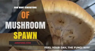 Mushroom Spawn Generations: How Many Can You Get?