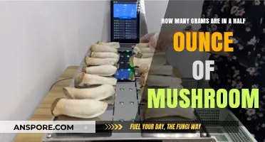 Grams and Mushrooms: Understanding Half-Ounce Weights