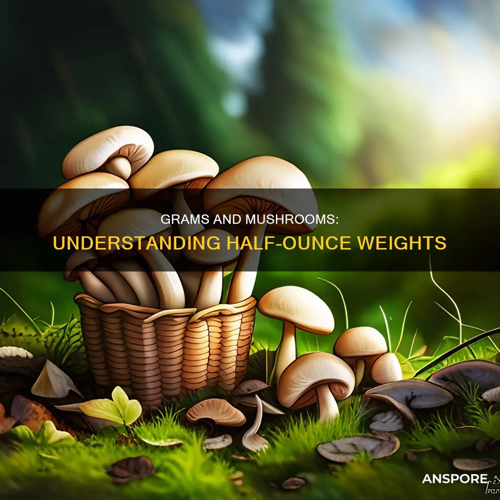 how many grams are in a half ounce of mushrooms