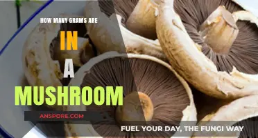 Mushroom Mystery: How Many Grams in One?