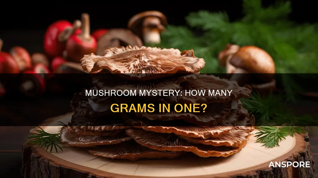 how many grams are in a mushroom