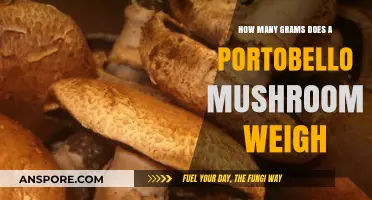 Portobello Mushroom Weight: Unveiling the Average Gram Count