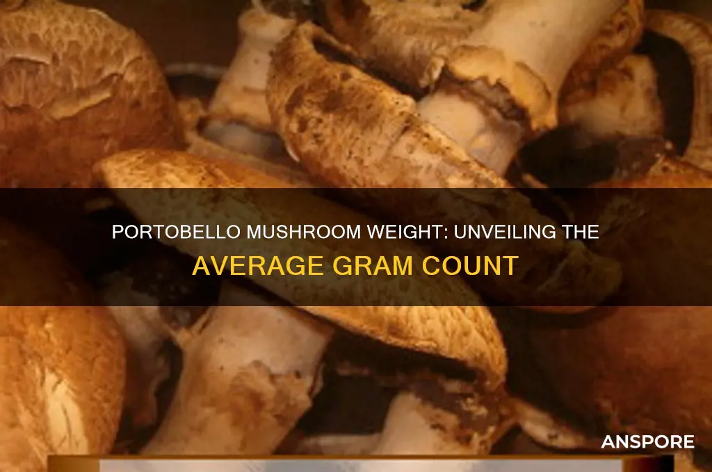 how many grams does a portobello mushroom weigh