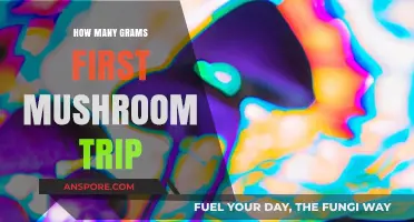 Mushroom Tripping: How Many Grams for First-Timers?
