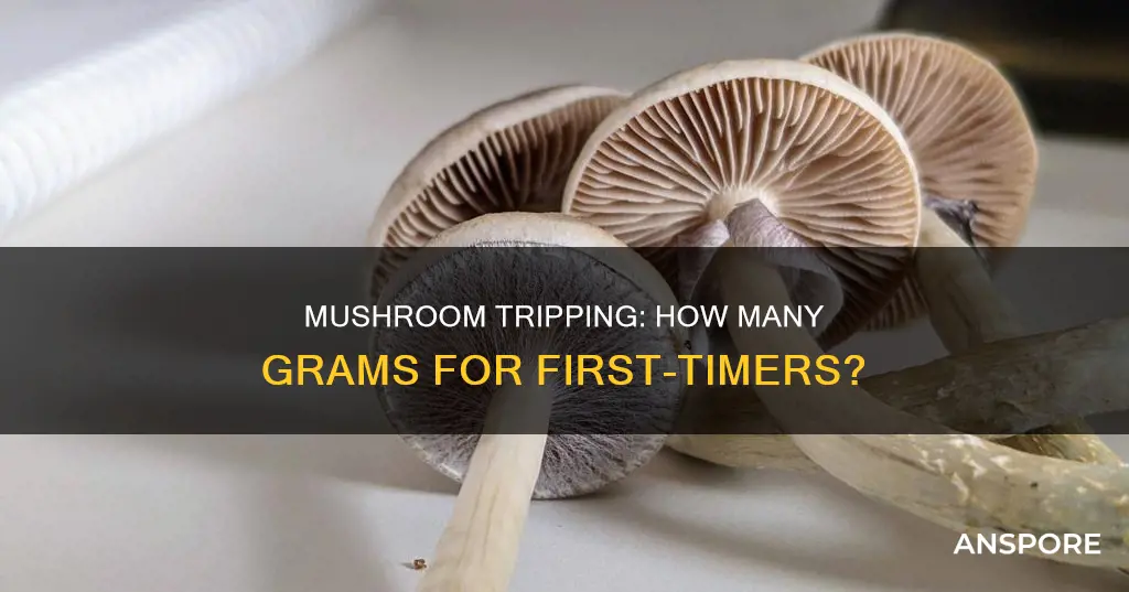 how many grams first mushroom trip