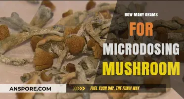Microdosing Mushrooms: How Many Grams is Safe?