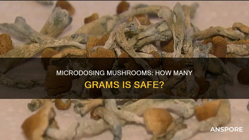 how many grams for microdosing mushrooms