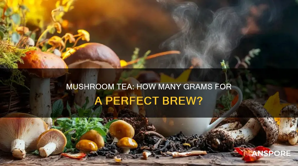 how many grams for mushroom tea