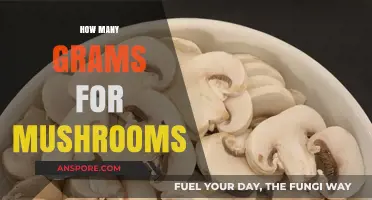 Grams of Magic: Mushroom Weighing Guide