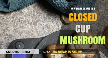 Mushroom Mystery: Grams in a Closed Cup