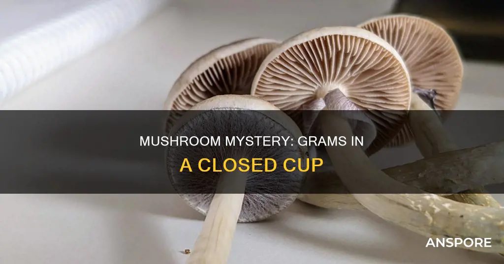 how many grams in a closed cup mushroom