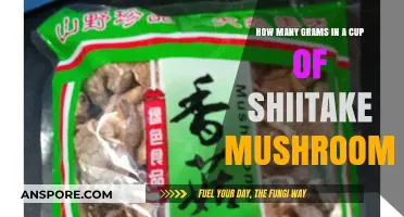 Grams in a Cup: Shiitake Mushrooms Weigh-In