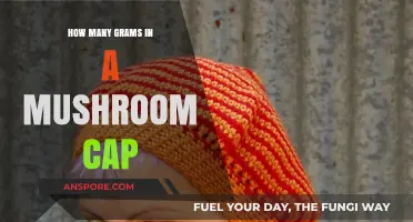 Mushroom Cap Weighing: How Many Grams?