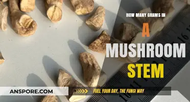Mushroom Stem Weigh-In: How Many Grams?