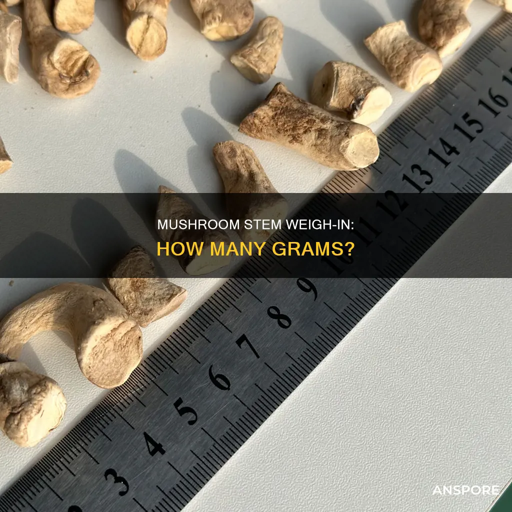how many grams in a mushroom stem
