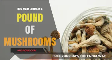 Mushroom Measurements: Grams in a Pound