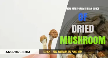 Grams and Ounces: Weighing Dried Mushrooms