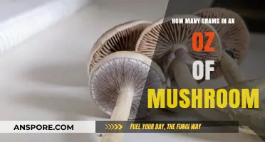 Mushroom Measurements: Grams in an Ounce